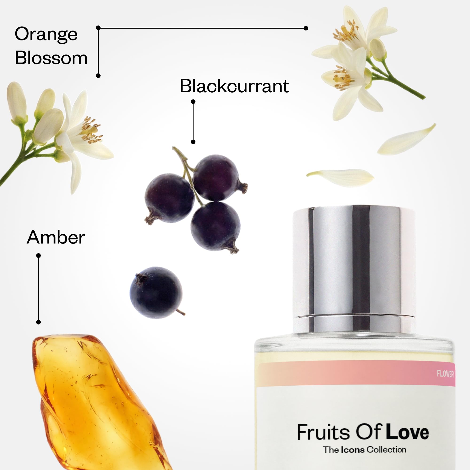Amazon.com : Dossier Originals - Fruits of Love - Sweet Fruity